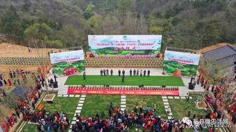 大别山新县今日头条,今日头条聚焦红色故土发展新篇