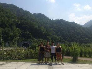 安康新闻头条宁陕县,绿色发展引领乡村振兴新篇章