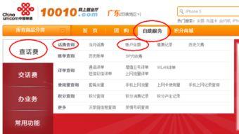 头条怎样查看分红卡余额,头条分红卡余额查询攻略