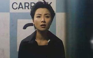 16年同性明星,2016年度同性明星风采盘点