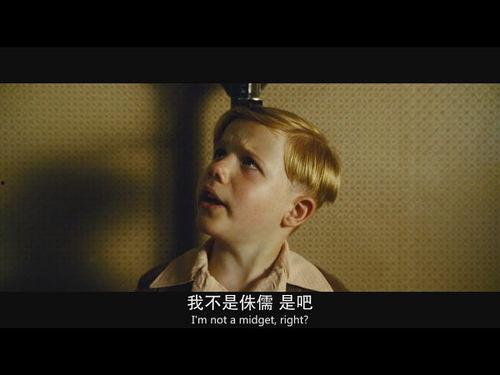 电影小男孩在线观看,穿越时空的勇气之旅