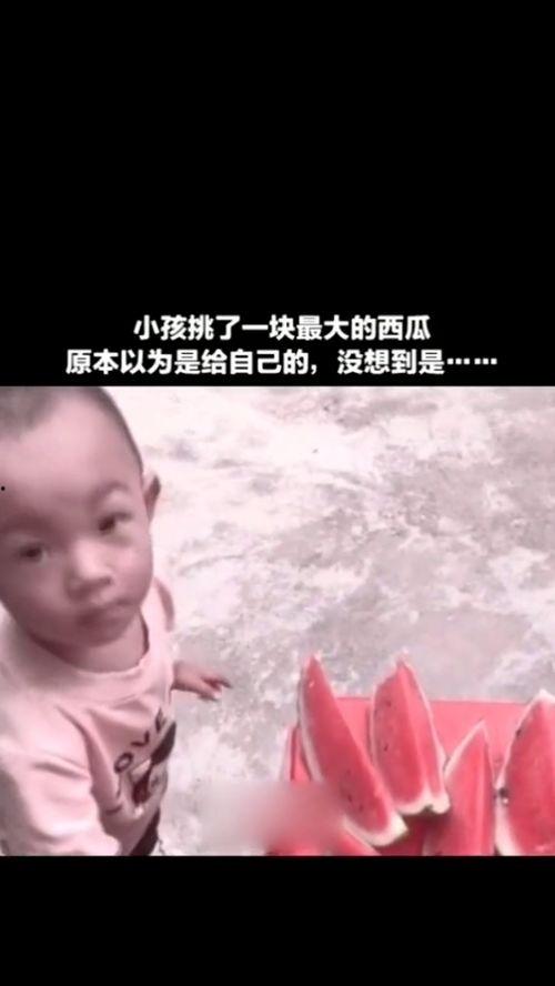 梦到老师分瓜没分给我,瓜分不均的遗憾与反思