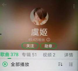 网红歌曲视频一万个理由,揭秘网红歌曲背后的情感密码