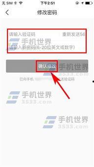 怎么输入今日头条口令码,揭秘热门资讯背后的秘密