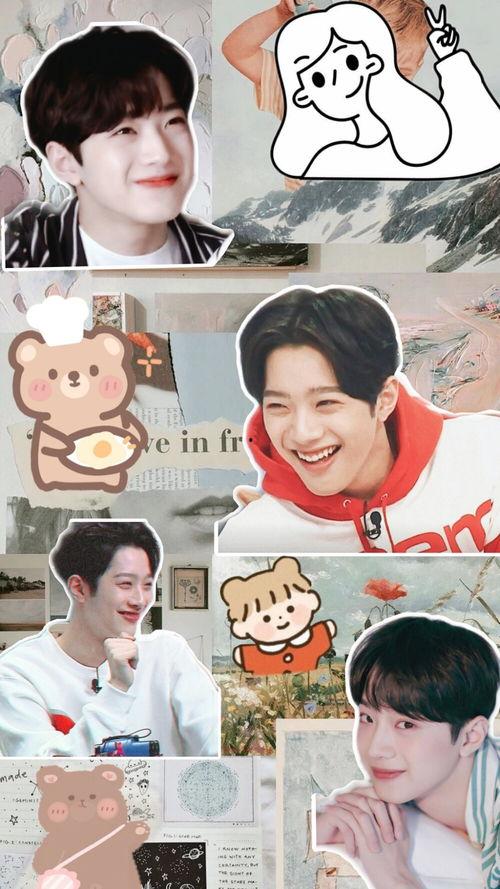 明星用什么拼图,揭秘明星们的拼图世界