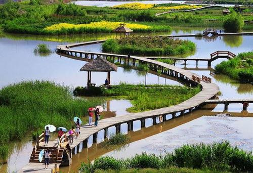 顺德网红湿地公园介绍,生态绿洲，休闲天堂的璀璨明珠