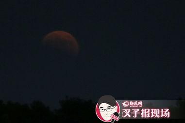 上海网红月亮多多,揭秘上海网红月亮多多的魅力传奇