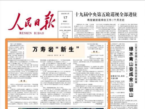 东营岩头新闻头条,重大发现揭示古文明新篇章