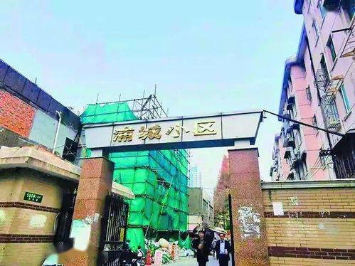 网红小区寻宝之旅,一场别开生面的寻宝之旅