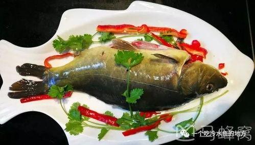 冷水鱼爆料美食视频播放,揭秘热门视频背后的美味诱惑