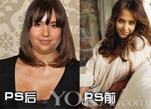 假如明星都胖了,假如明星都胖了，会是怎样的风景