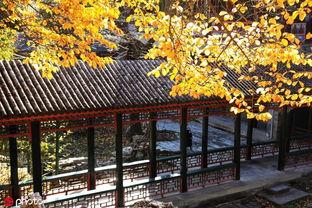 网红打卡北京颐和园小区,漫步颐和园，感受古韵新潮