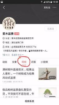 头条我的关注人名单,揭秘你的社交圈秘密”