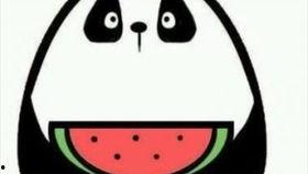 微信8.0吃瓜,吃瓜群众狂欢，社交新体验来袭！