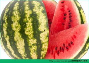 曹总吃金银瓜,舌尖上的奢华之旅