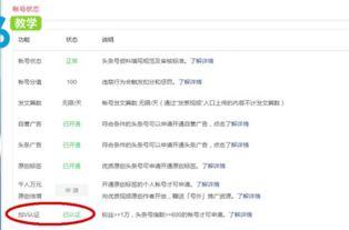 开通头条号怎么加v,揭秘认证攻略