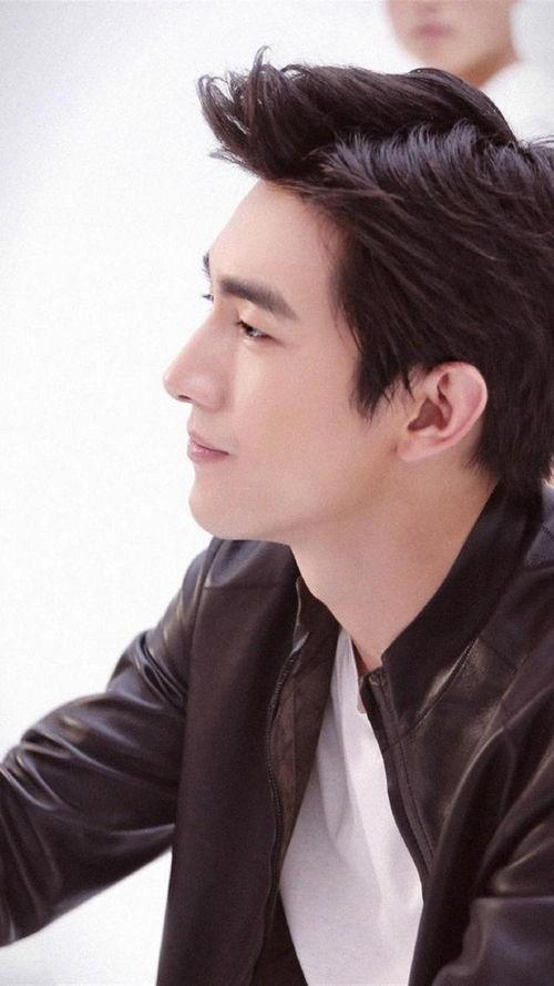 明星男神壁纸,明星男神壁纸中的风采瞬间