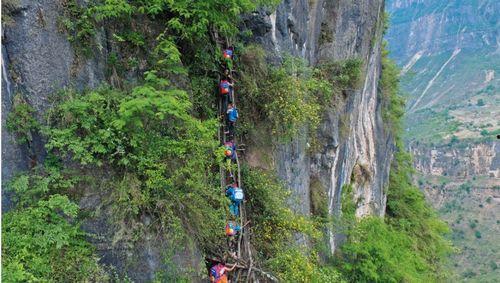 悬崖村成网红地,云端之上的网红奇迹